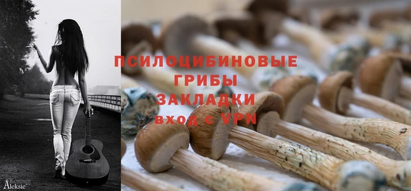 спайс Алзамай